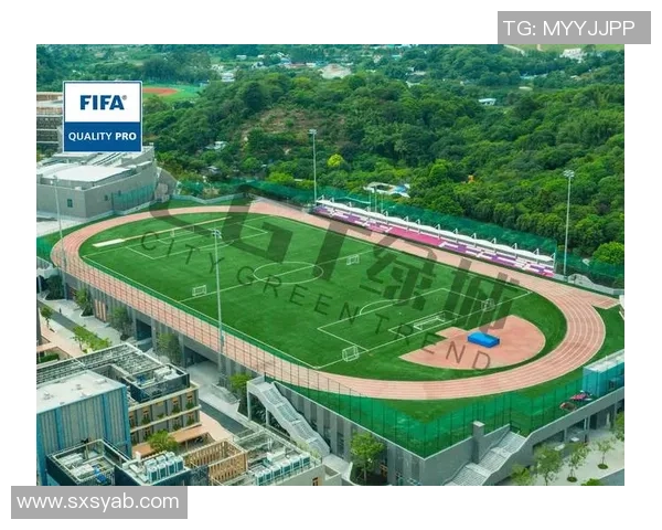 上海足球队的崛起与发展：探讨其在城市文化中的重要性与影响力