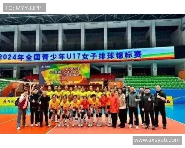 南京排球队团队协作引发热议球迷对战术配合和默契度的看法各异