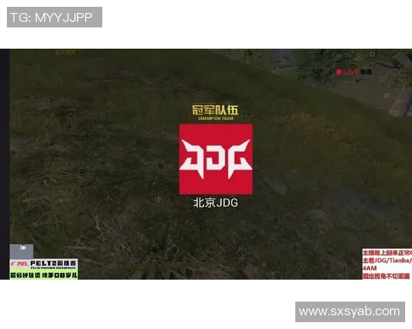 和平精英战术解析JDG战队进攻体系的核心策略与执行细节 和平精英战术解析JDG战队进攻体系的核心策略与执行细节